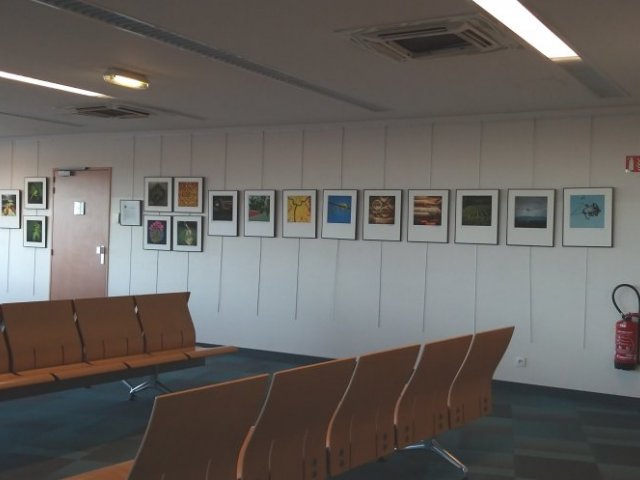 Exhibition «Invisible Beauties of Jurançon» in boarding lounge Exhibition «Invisible Beauties of Jurançon» in boarding lounge
